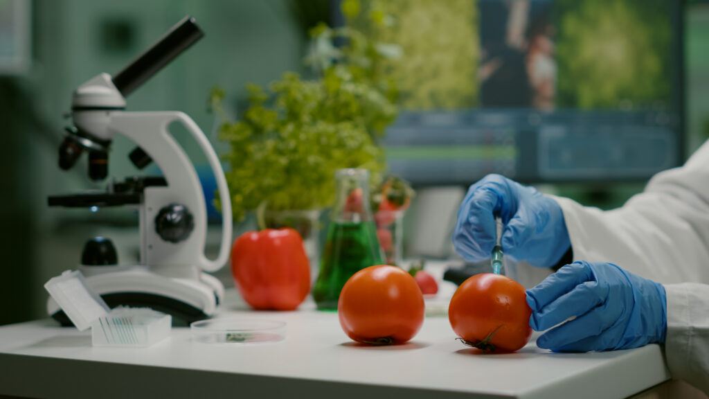 closeup-chemist-scientist-injecting-organic-tomato-with-pesticides-gmo-test